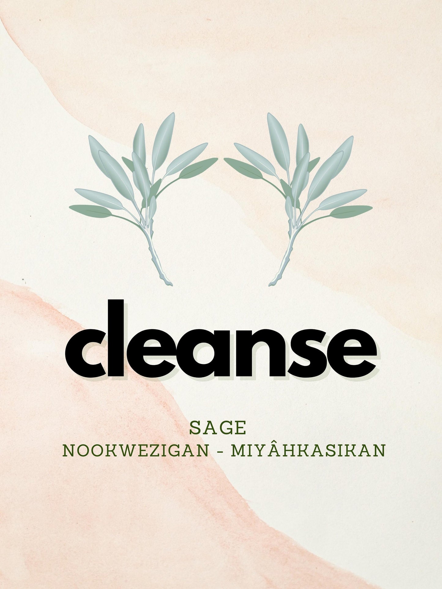 Four Sacred Medicines Art Work - Four Piece Set