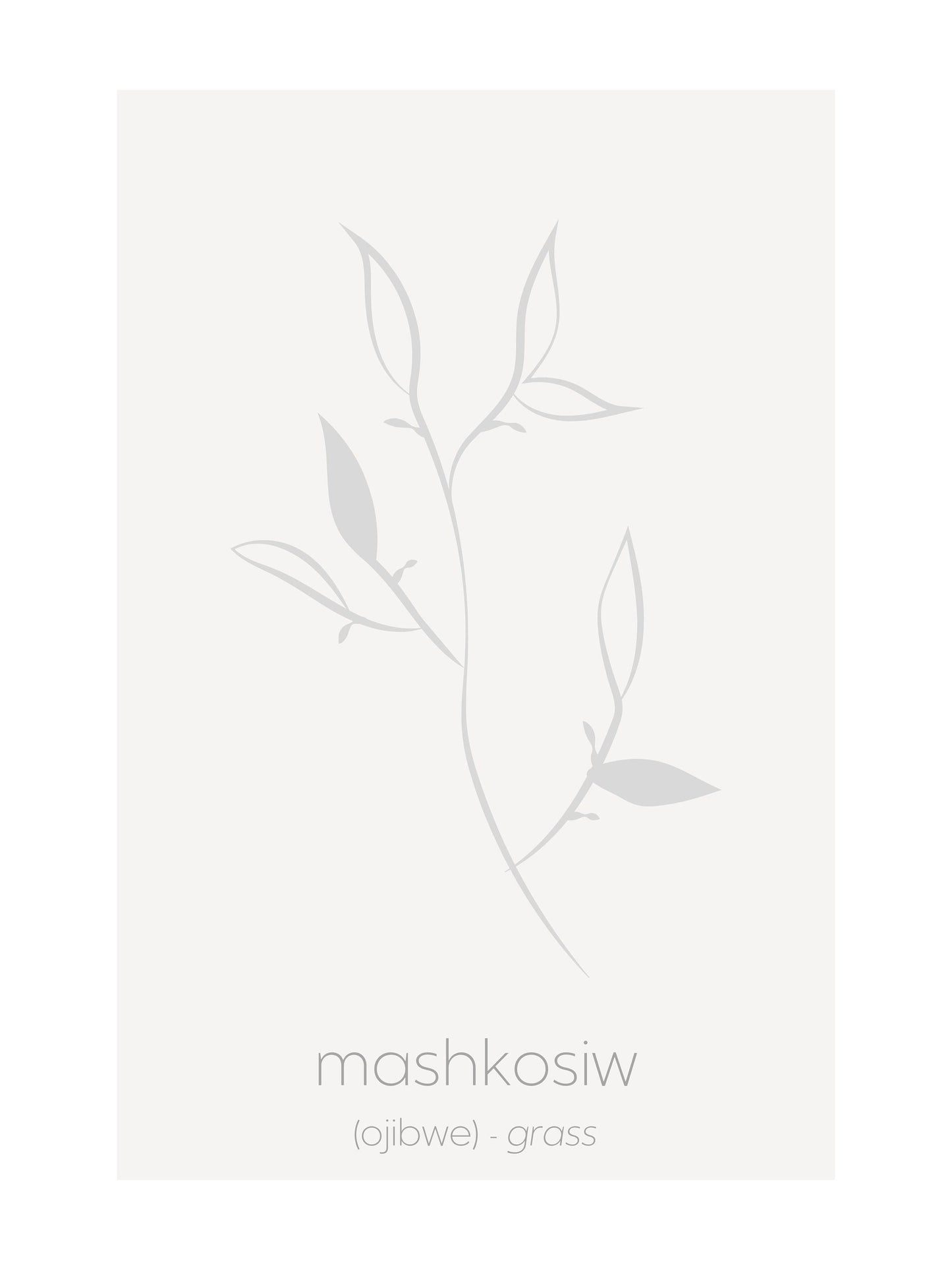Minimalist Ojibwe Plants and Trees Art Print Set