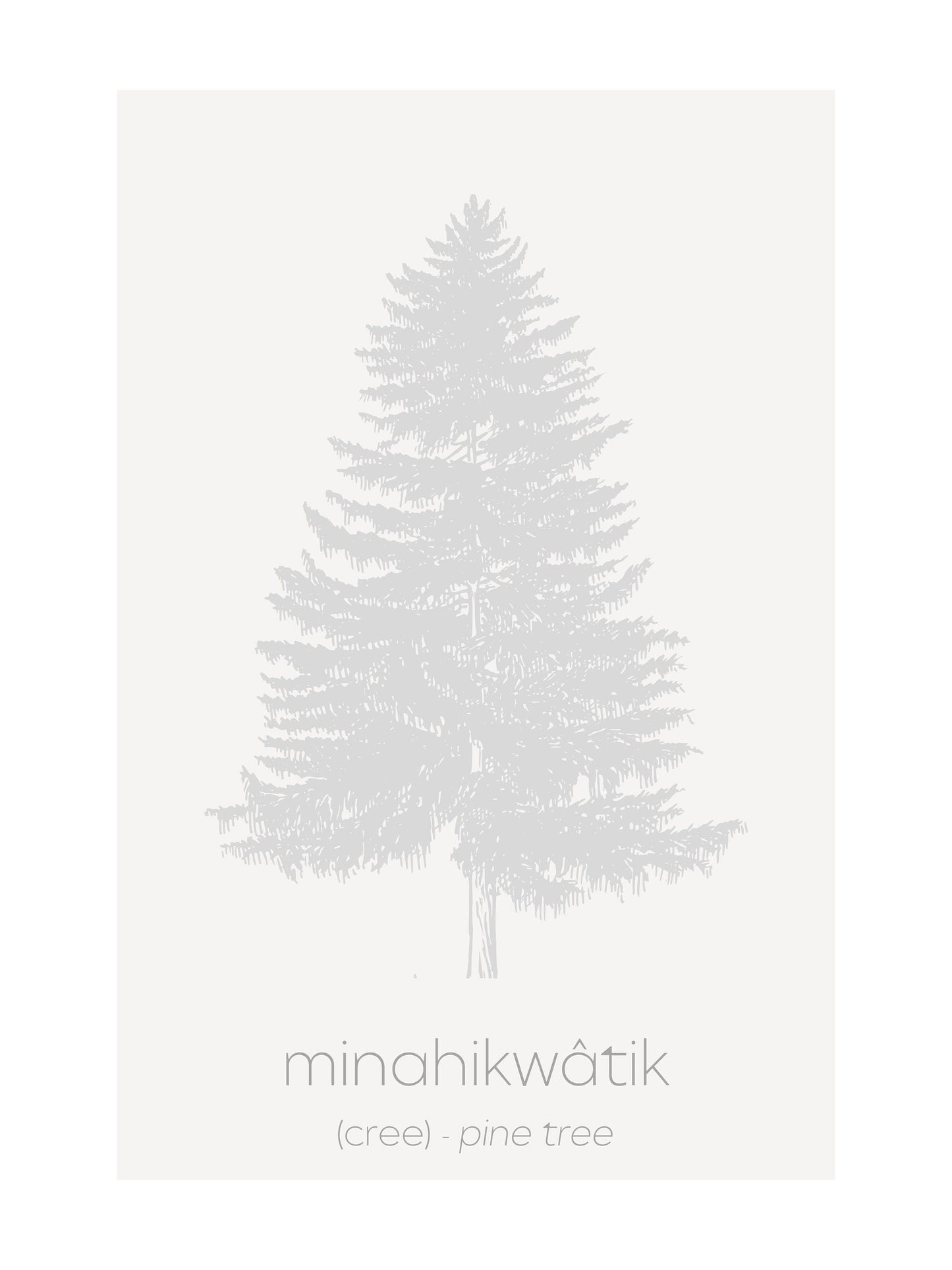 Minimalist Cree Plants and Trees Art Print Set