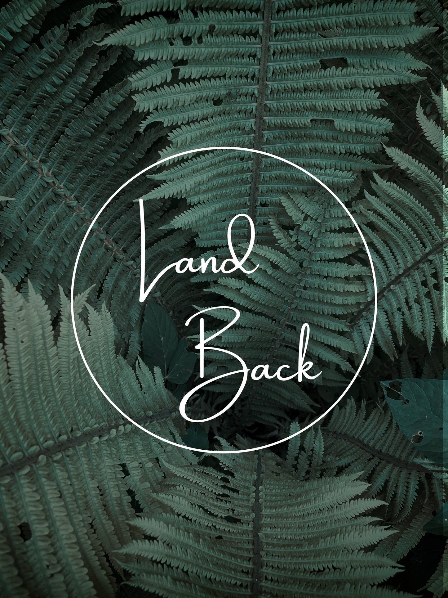 Land Back - Art Print