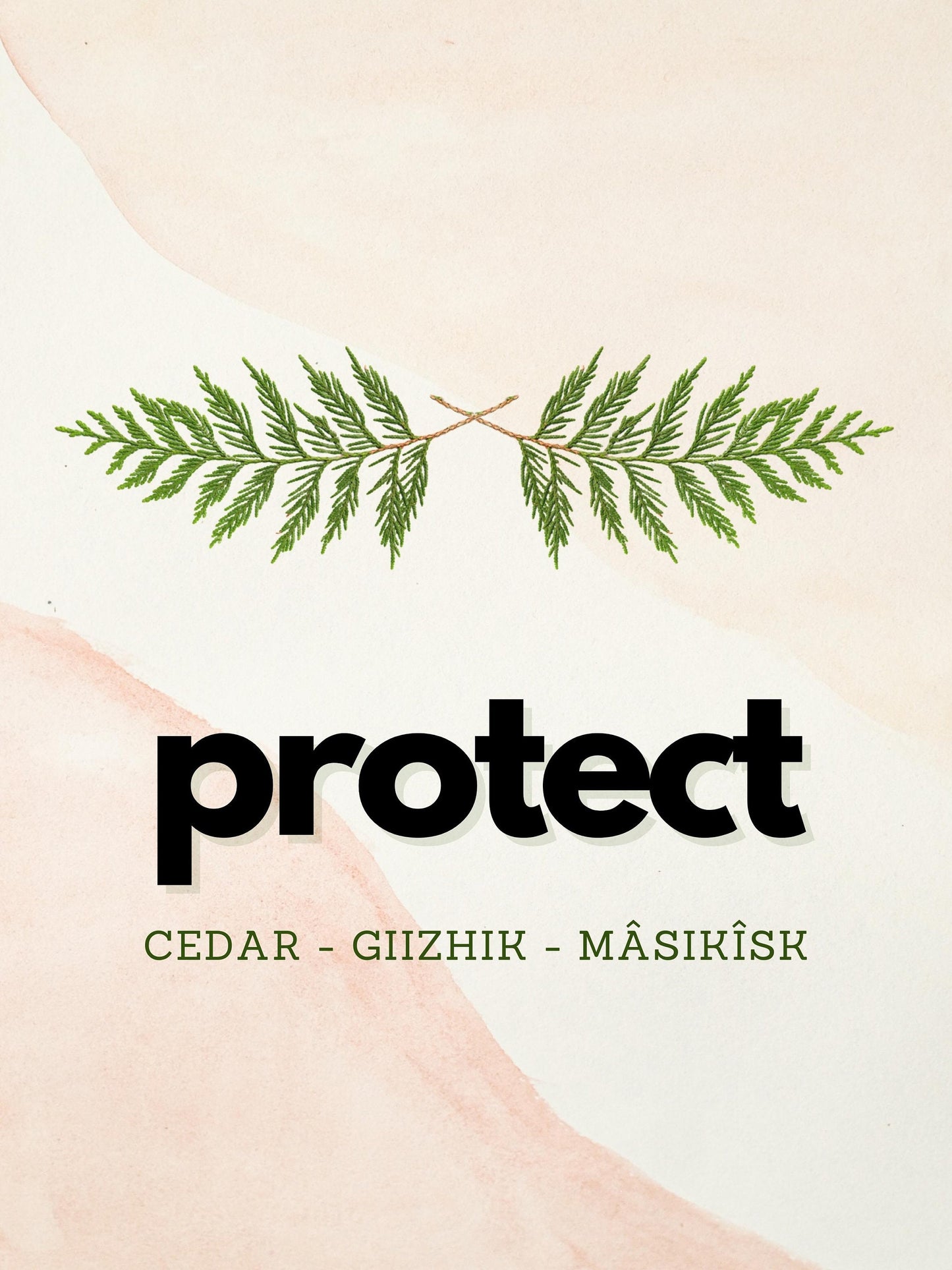 Four Sacred Medicines Art Work - Four Piece Set