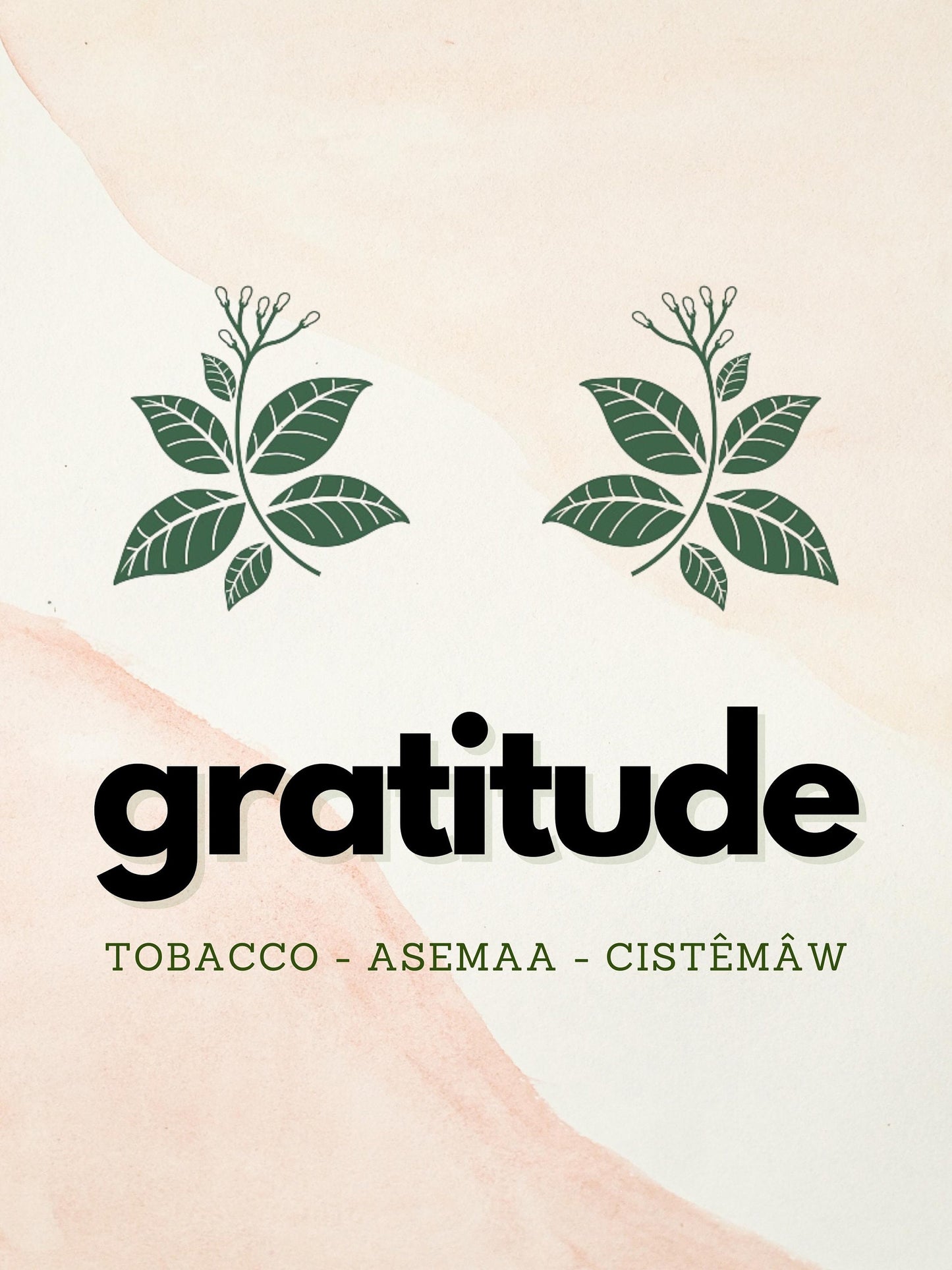 Four Sacred Medicines Art Work - Four Piece Set