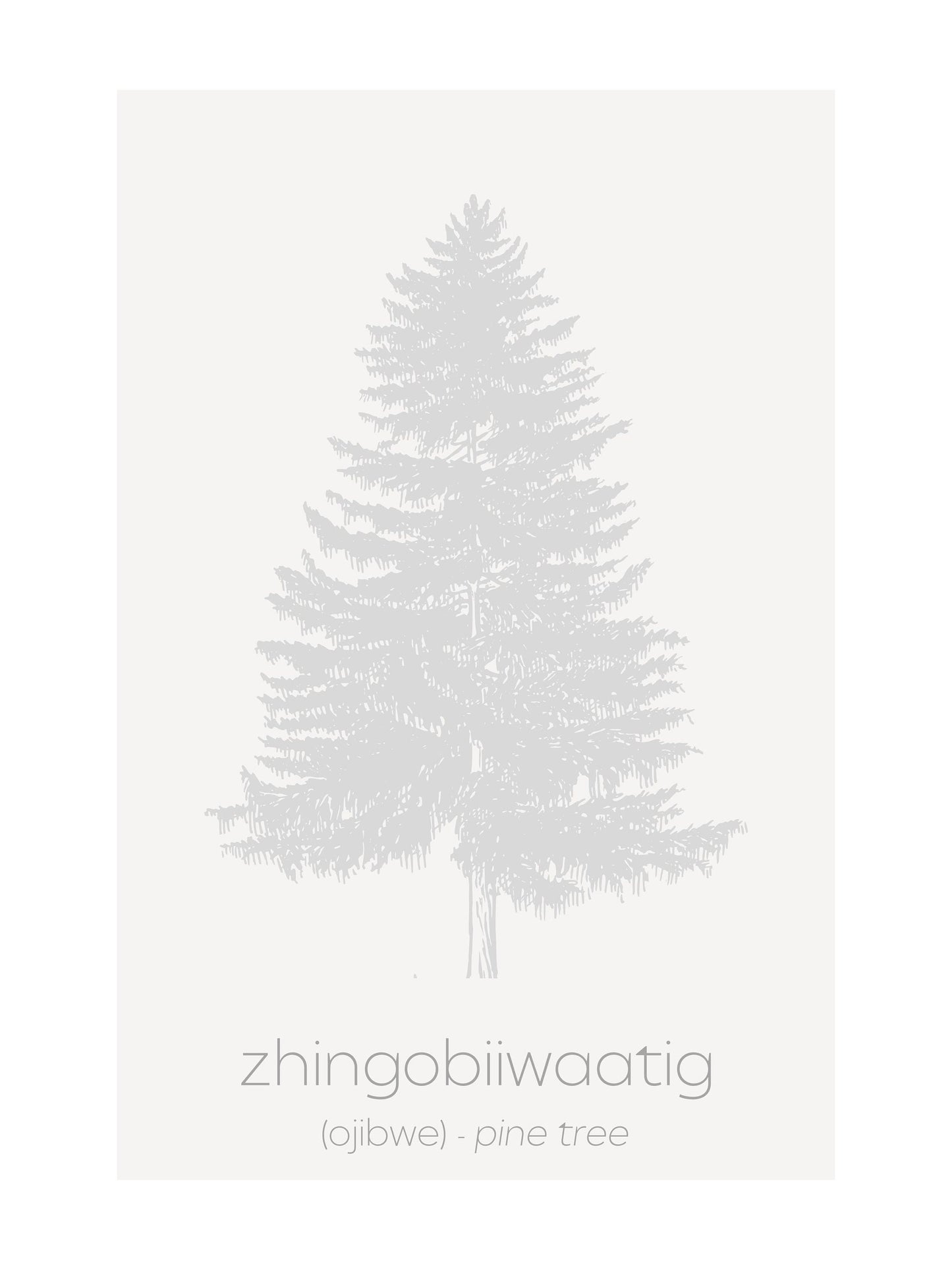 Minimalist Ojibwe Plants and Trees Art Print Set