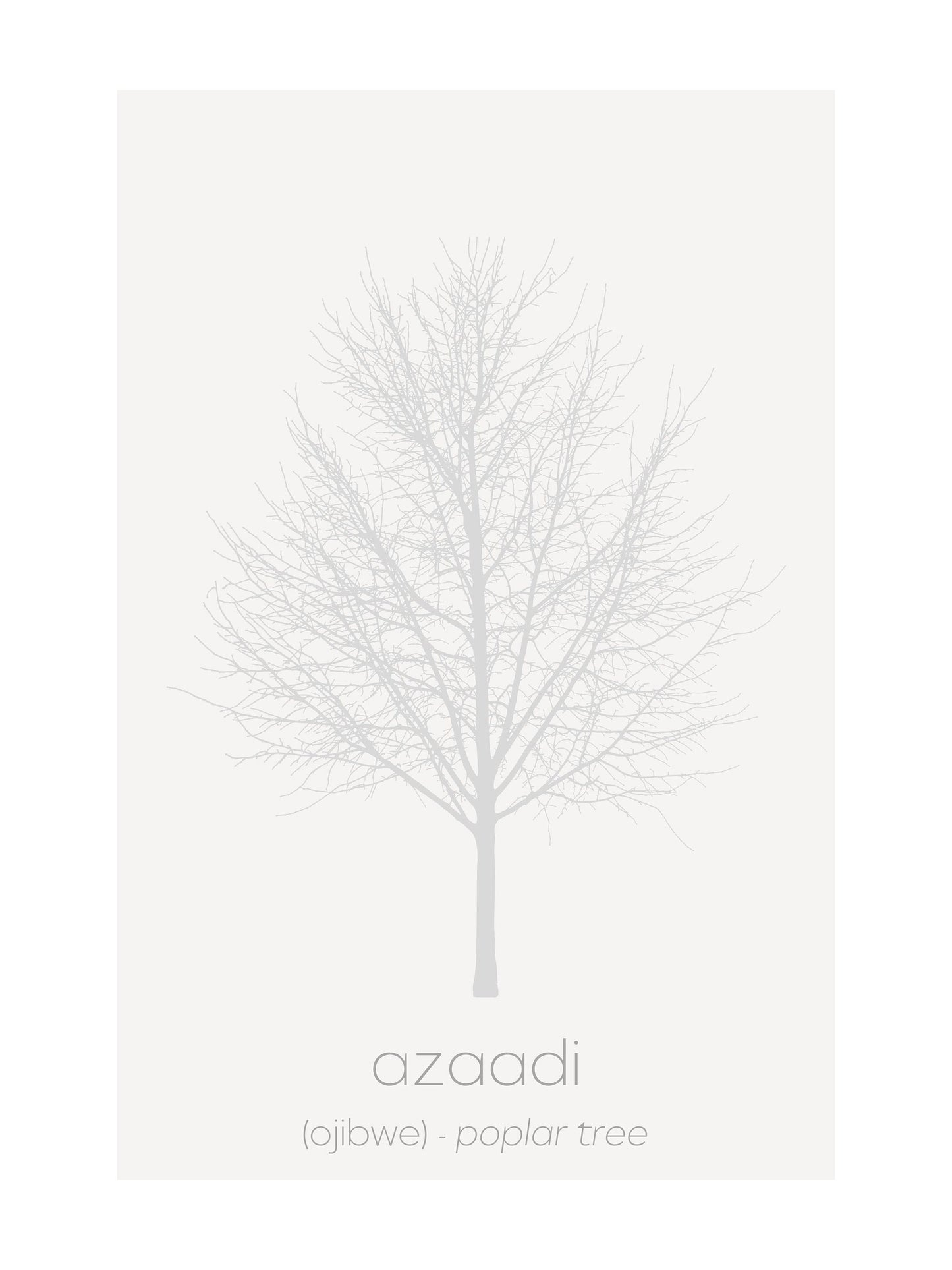 Minimalist Ojibwe Plants and Trees Art Print Set