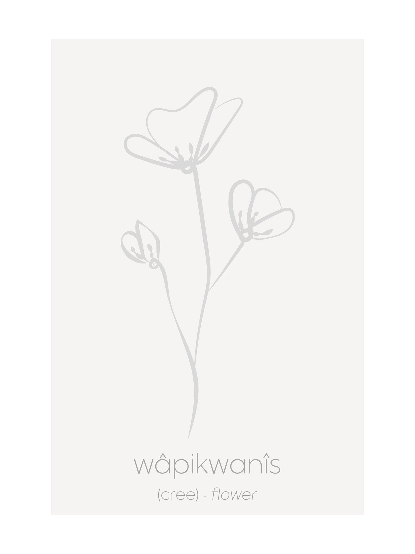 Minimalist Cree Plants and Trees Art Print Set