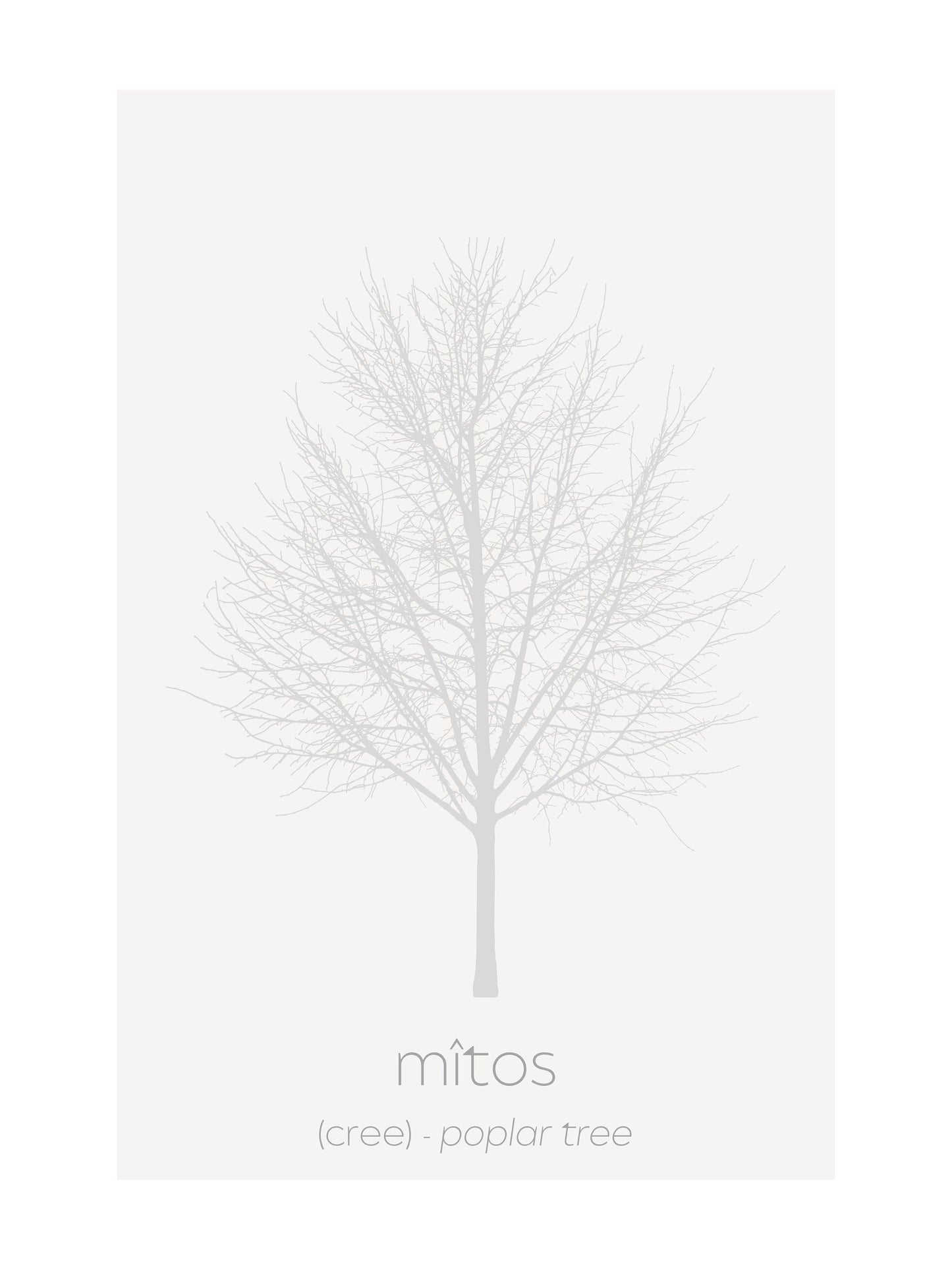 Minimalist Cree Plants and Trees Art Print Set