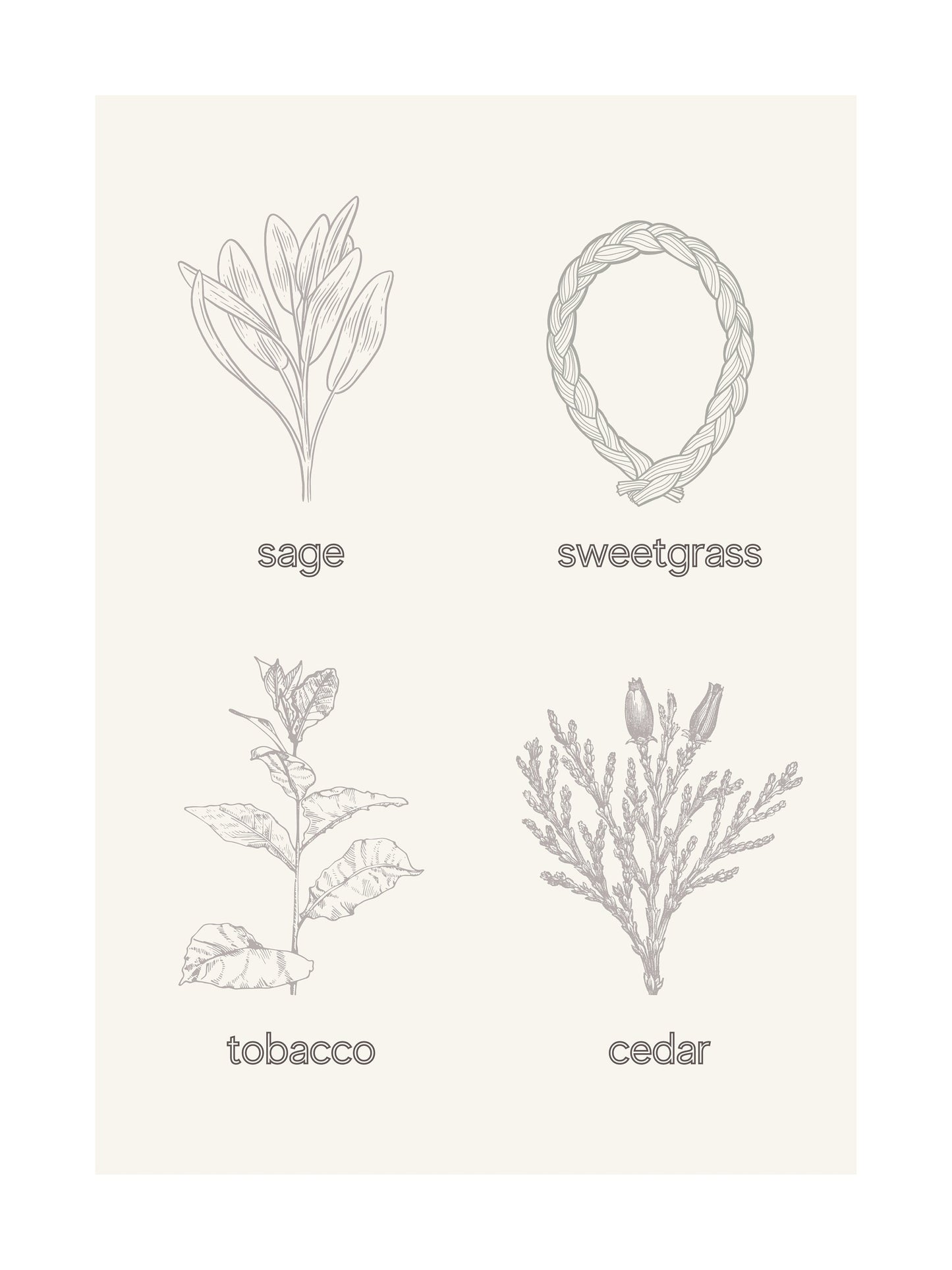 Neutral Sacred Medicine - Anishinaabe Cree Art Print