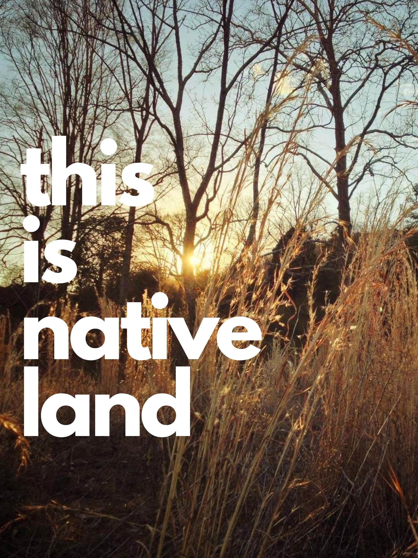 This Is Native Land Art Print