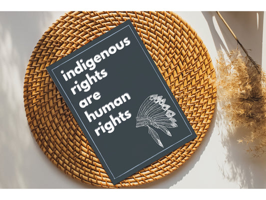 Indigenous Rights Are Human Rights Art Print