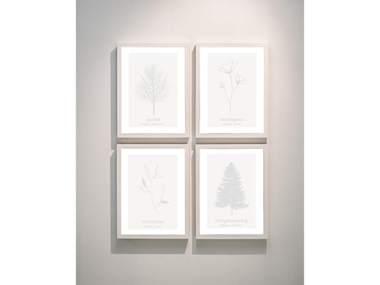 Minimalist Ojibwe Plants and Trees Art Print Set